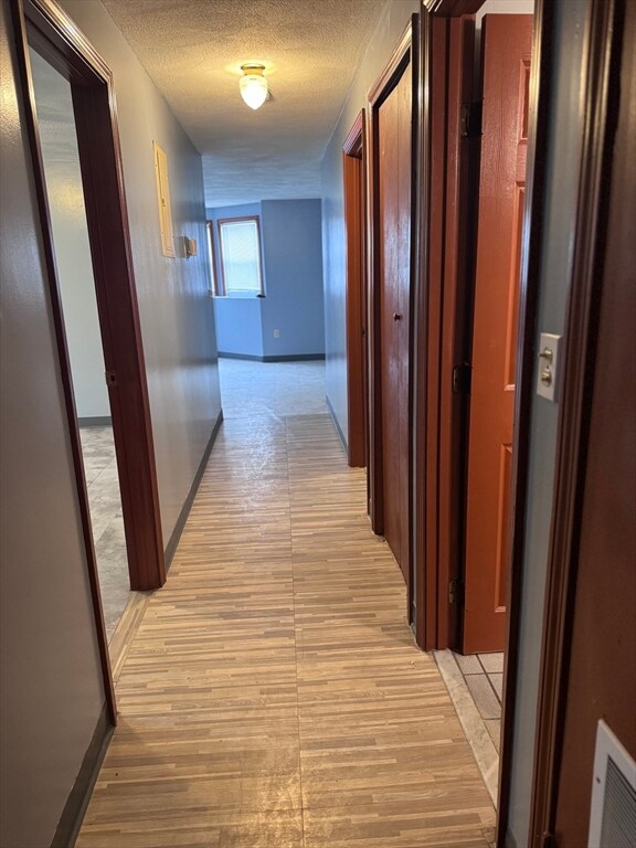 48 Mount Everett St unit 1, Dorchester, MA 02125 - photo 7