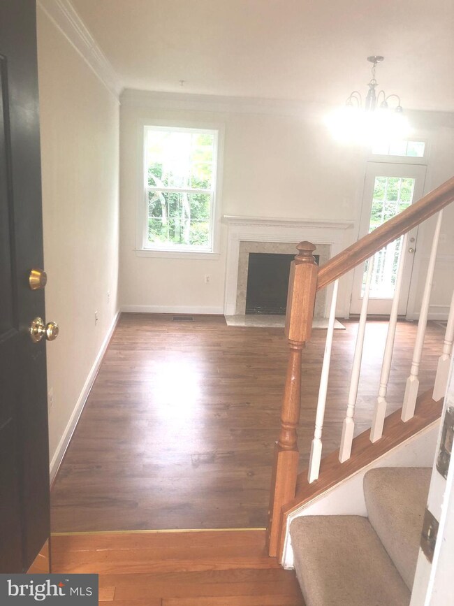 13528 Davinci Ln unit 56, Herndon, VA 20171 - photo 3