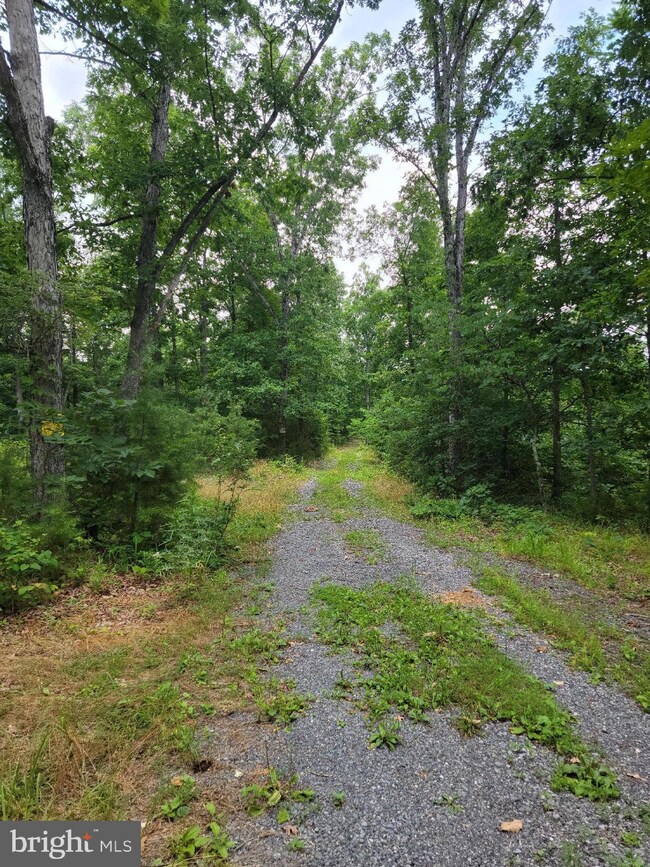 1050 Brannons Ford Rd, Gerrardstown, WV 25420 - photo 7