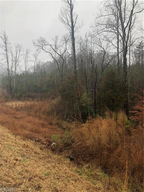 0 Emerald Rock Rd unit 1036570, Asheboro, NC 27205 - photo 3