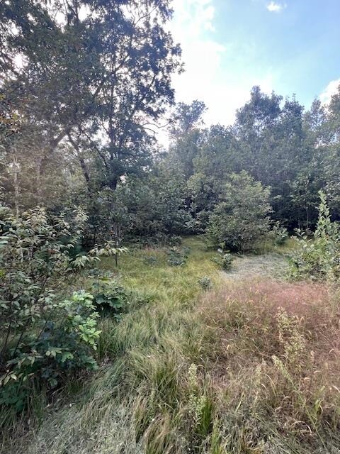 2640 14th Ct, Adams, WI 53910 - photo 2