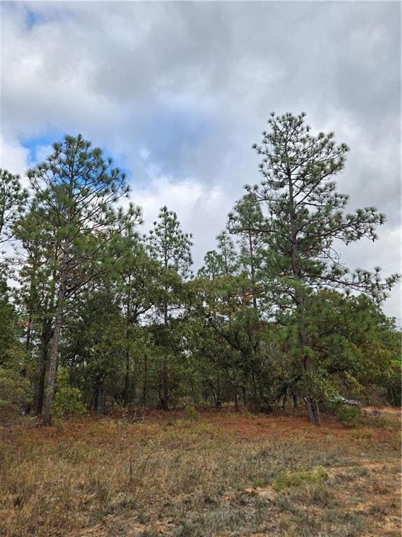 7 Dusty Rd, Seale, AL 36875 - photo 6