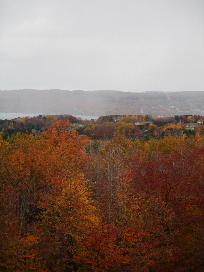 0 Valleyview Ridge unit 3 21113508, Manistee, MI 49660 - photo 4