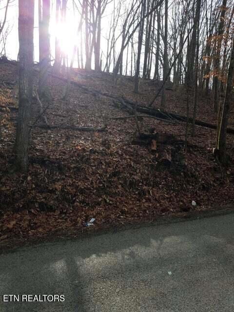 old cave springs road lot 1 road 2