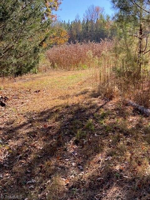 00 Bob Loflin Rd, Denton, NC 27239 - photo 4