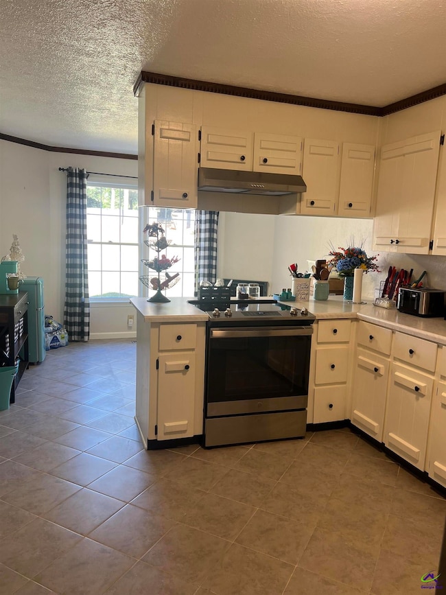 311 Overlook Dr, Montezuma, GA 31063 - photo 4