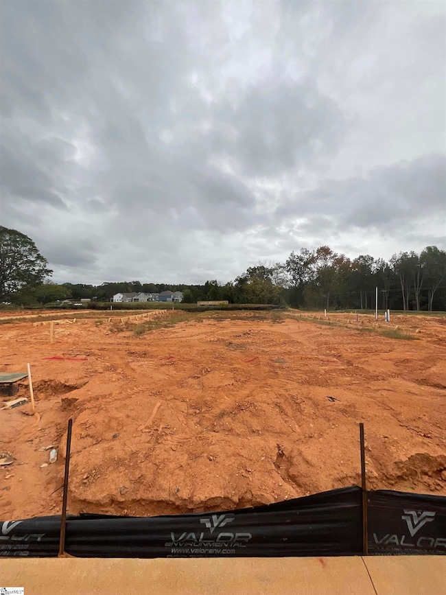 104 Plain Post Trail, Simpsonville, SC 29681 - photo 3