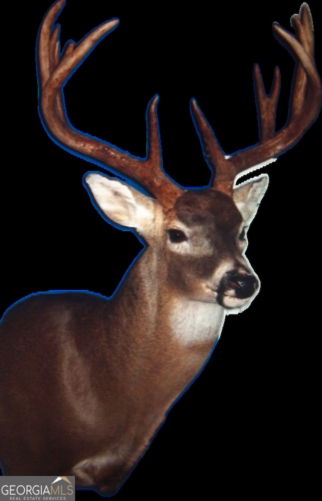 0 Callaway Rd unit 10657781, Rayle, GA 30660 - photo 2