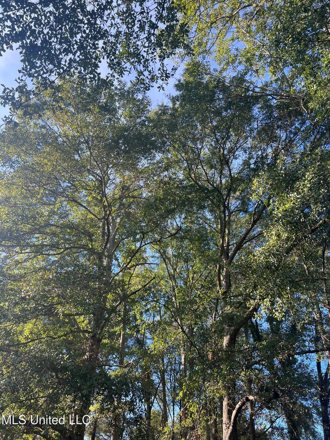 Unassigned Hines Cir, Braxton, MS 39044 - photo 5