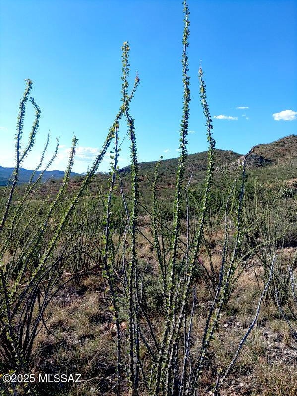 16231 E Hillton Ranch Rd, Vail, AZ 85641 - photo 5