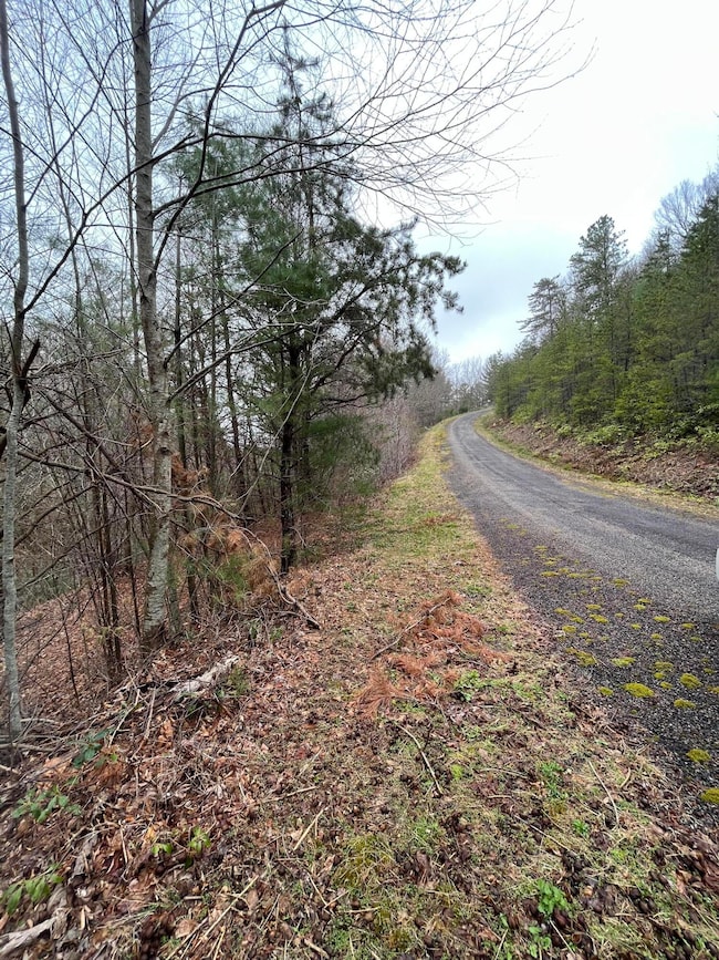 cassavar road frontage