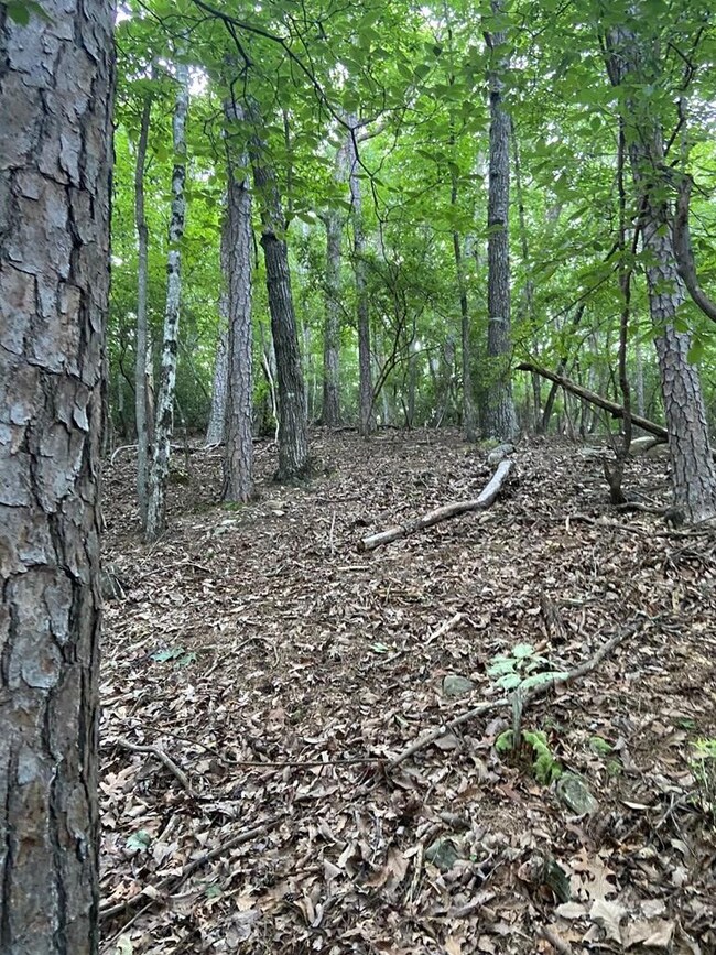 Lot 58 Cherokee Cir, Ellijay, GA 30536 - photo 7