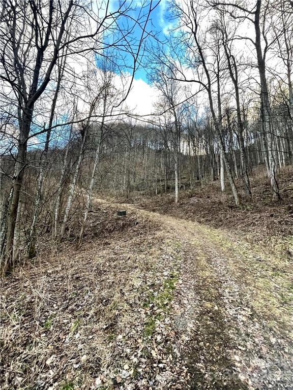 Driveway leading to both lots