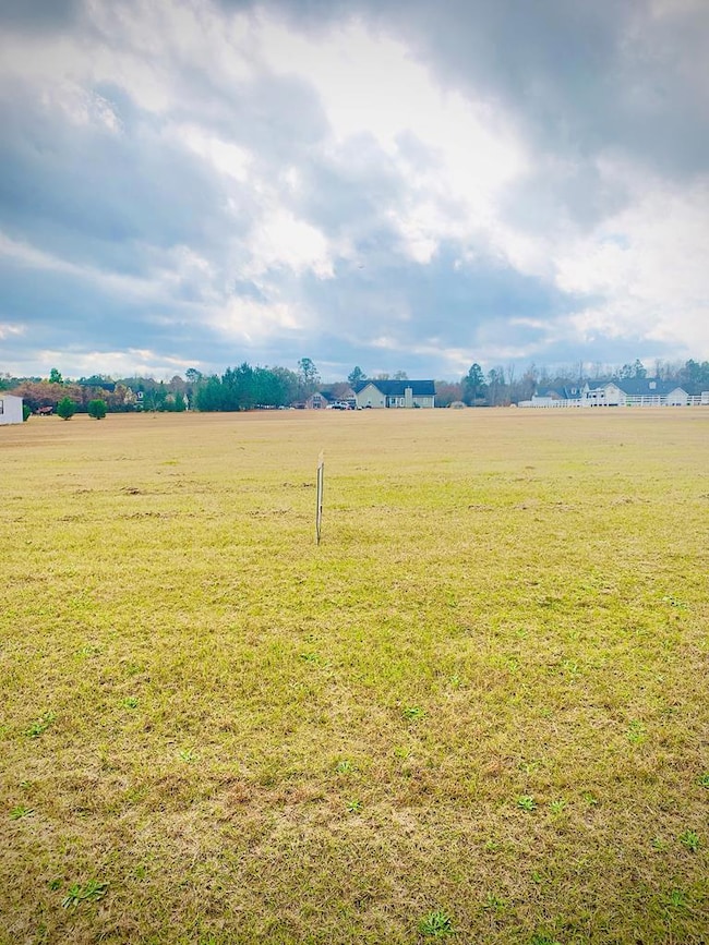 TBD Sam Sells Rd, Moultrie, GA 31768 - photo 5