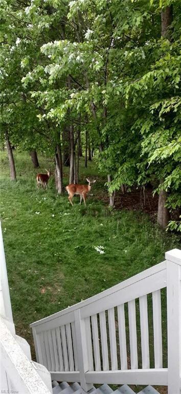 Lots of wildlife to enjoy, just out your backdoor
