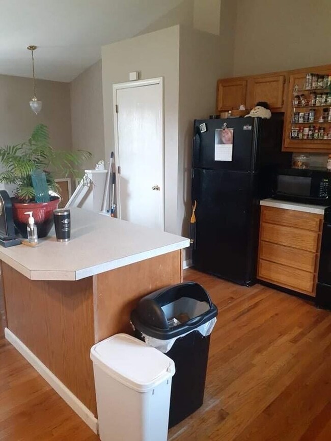 447 Plum St, Wayland, MI 49348 - photo 3