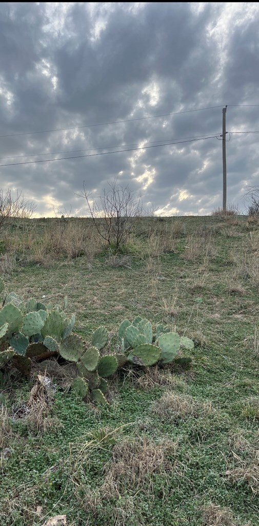 11265 Spring Creek Ln, San Angelo, TX 76904 - photo 7