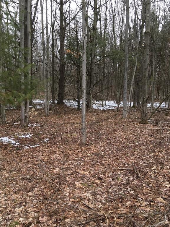This property consists of a mix of hardwood and so