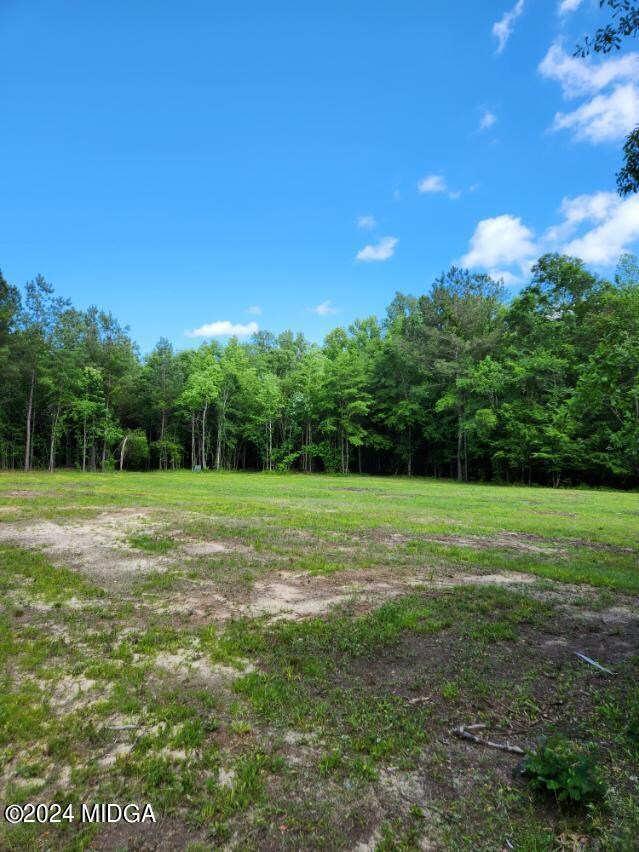 447 Chapman Rd, Macon, GA 31211 - photo 5