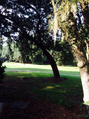 View from rear patio