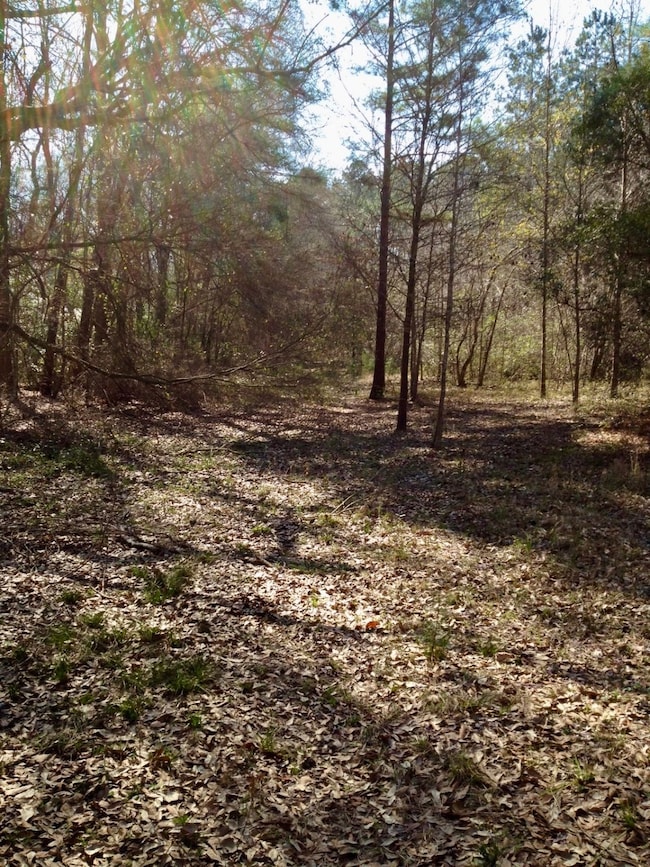 lot 175 County Road 3017c, Dayton, TX 77535 - photo 2