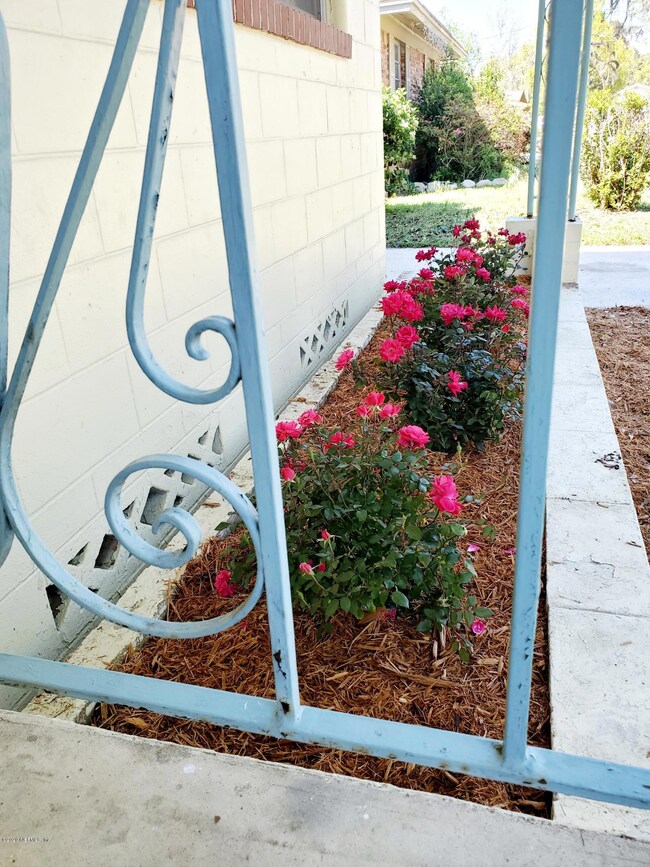 4954 Bedford Forest Dr, Jacksonville, FL 32210 - photo 4