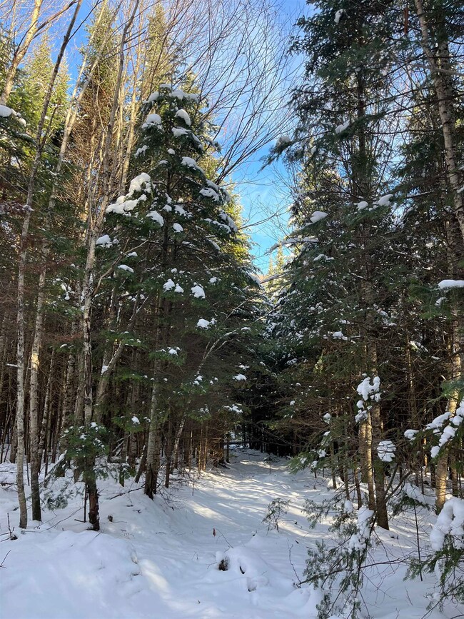 0 Shadow Lake Rd unit 5070680, Glover, VT 05839 - photo 3