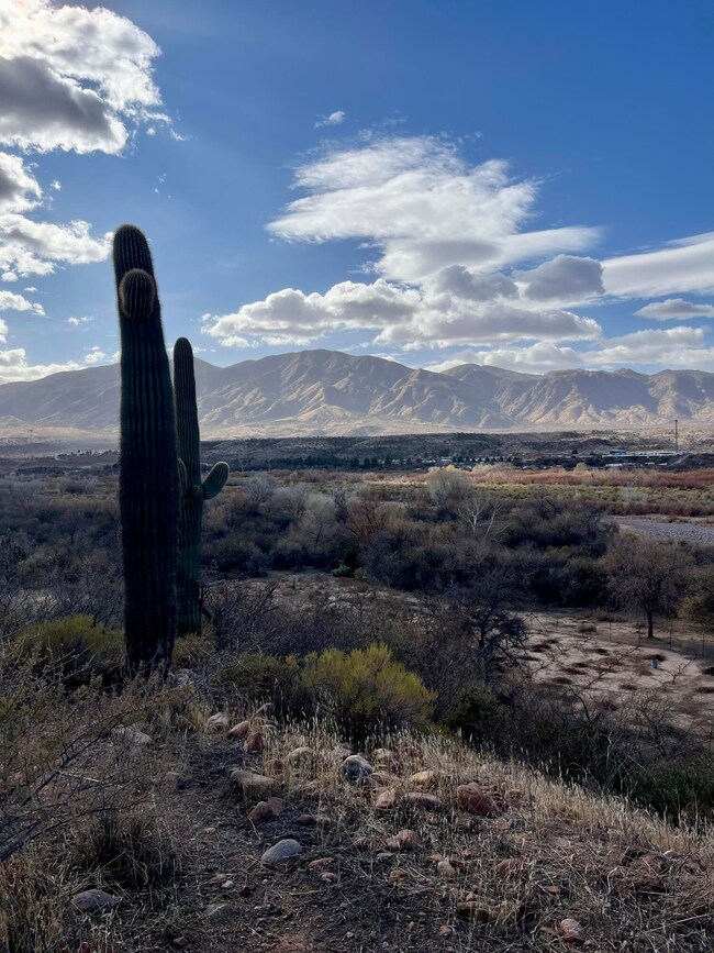 073 W Sierra Ancha Way, Tonto Basin, AZ 85553 - photo 4