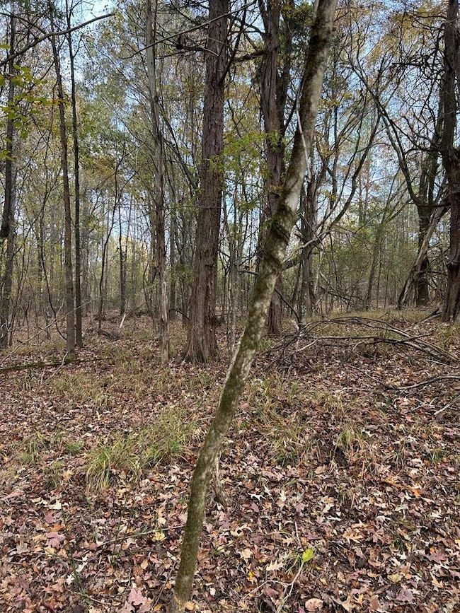 tbd Cr 457, Calhoun City, MS 38916 - photo 7