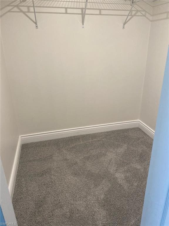 Walk in closet featuring carpet flooring