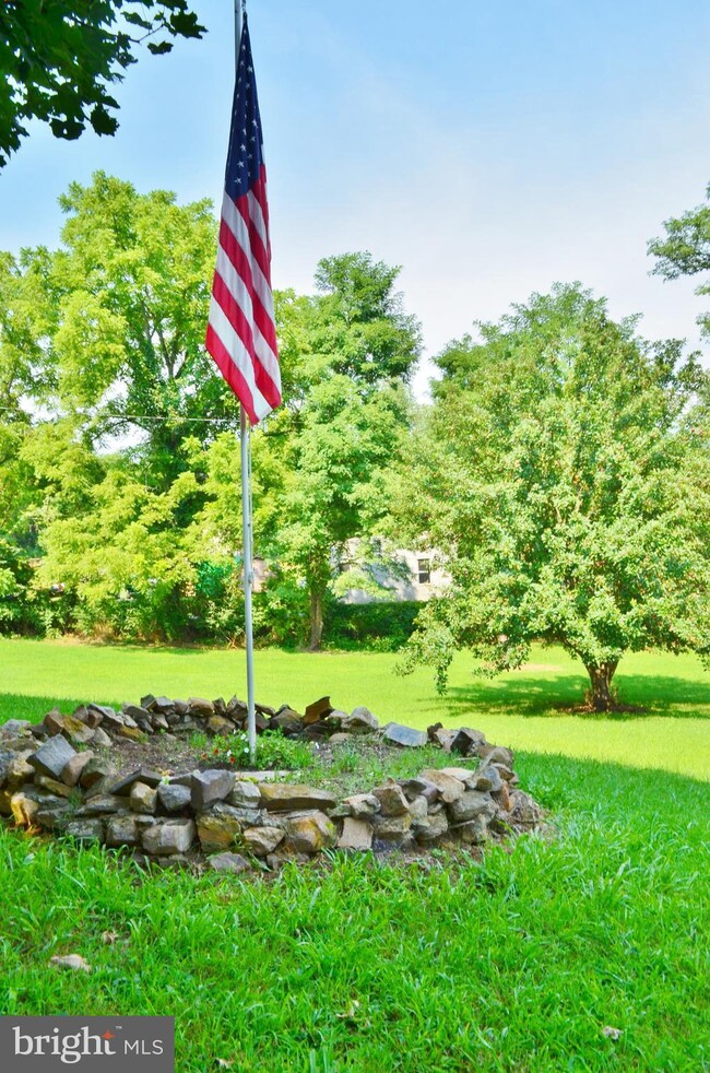 15691 Senedo Rd, Edinburg, VA 22824 - photo 3