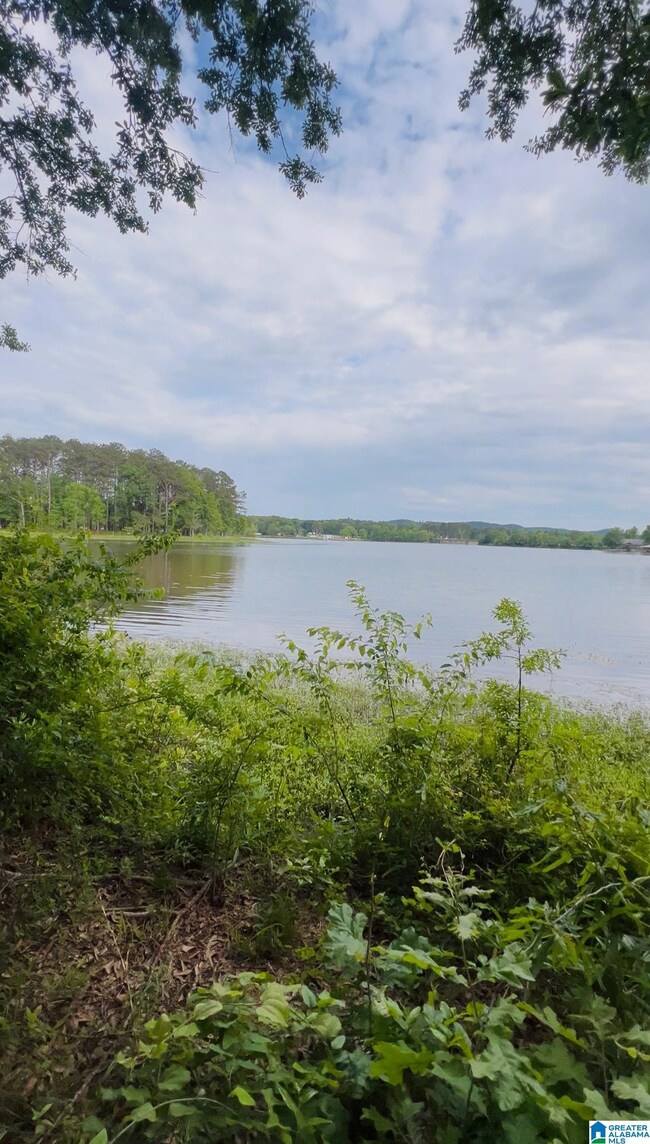 0 Cedar Shores Dr unit 21419292, Sylacauga, AL 35151 - photo 7