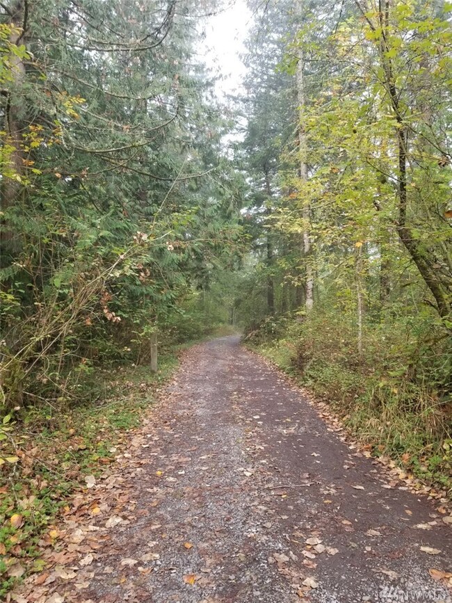 28620 Orting Kapowsin Hwy E, Graham, WA 98338 - photo 5