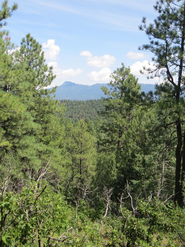 0 Gallinas Pkwy unit Parcel E5 18-1275, Trinidad, CO 81082 - photo 3