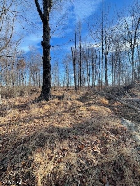 3194 Route 94, Hardyston Twp., NJ 07416 - photo 4