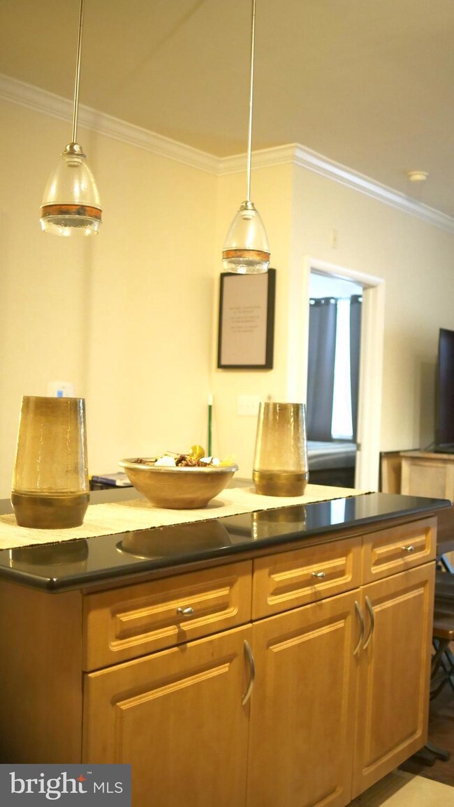 12905 Centre Park Cir unit 108, Herndon, VA 20171 - photo 6