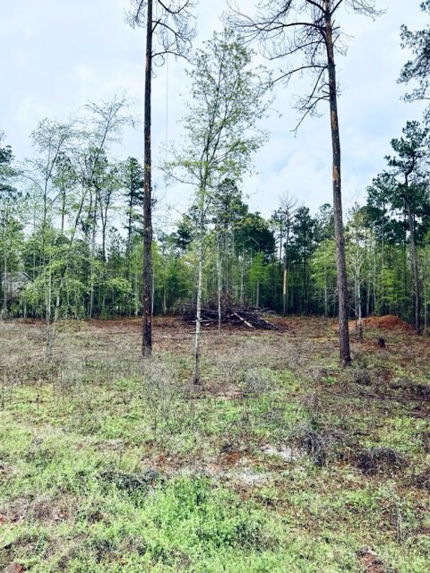 TBD Sundown Dr, Nacogdoches, TX 75964 - photo 3