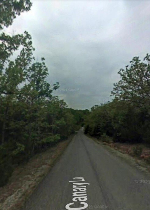 1102 Canary Ln, Horseshoe Bend, AR 72512 - photo 7