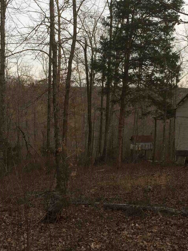 00 Hurricane Creek Rd, Linden, TN 37096 - photo 7