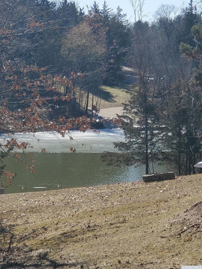 82 Fox Run Rd, Athens, NY 12015 - photo 5