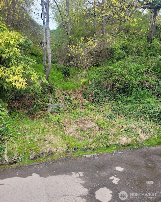 2318 Perkins Ln W, Seattle, WA 98199 - photo 2