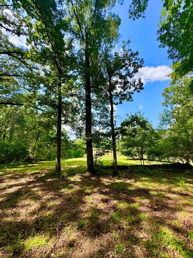 0 Bailey Rd, Double Springs, AL 35553 - photo 4