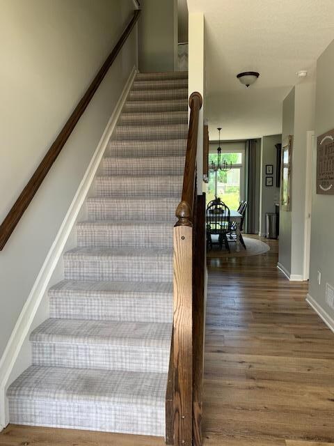 European Wool Carpet on Stairs