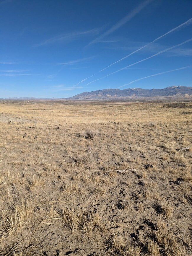 Unnamed Rd, Halleck, NV 89823 - photo 7