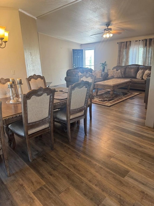 913 Ted St, Alpine, TX 79830 - photo 5