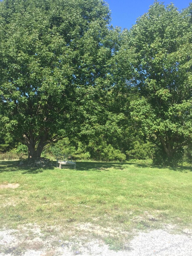 302 Cheyenne Rd, Nixa, MO 65714 - photo 5