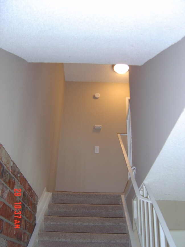 Freshly painted and new carpet