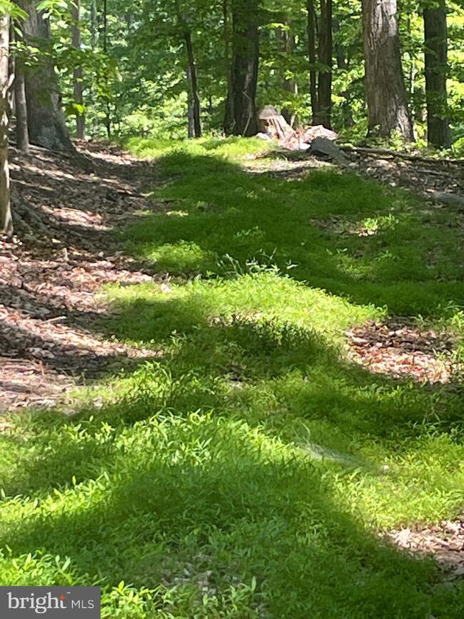0 Ebenezer Rd unit VACL2001060, Bluemont, VA 20135 - photo 5