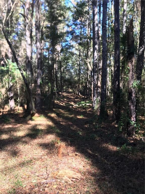 tbd Louisiana 438, Franklinton, LA 70438 - photo 4