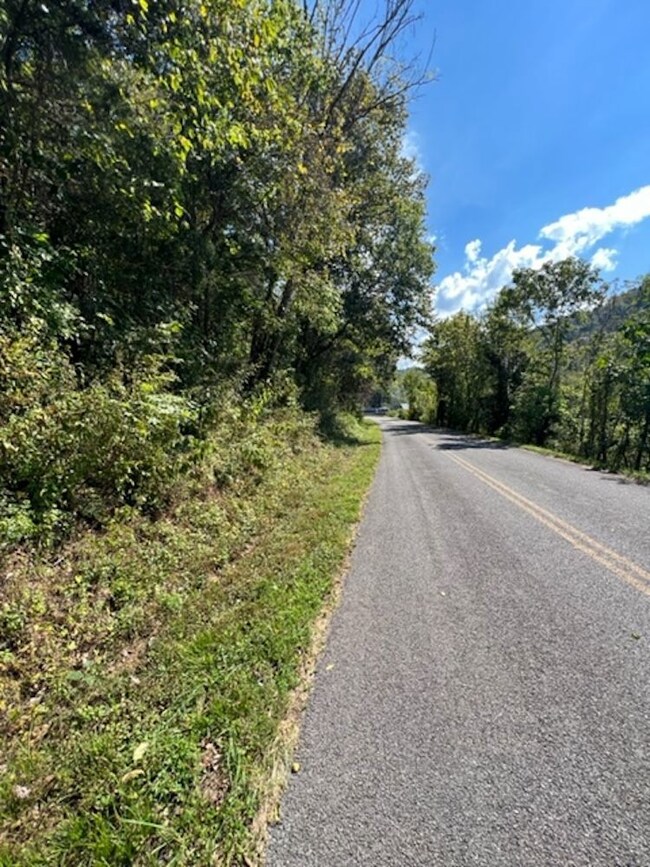 0 Wet Mill Creek Rd unit LotWP001 18424138, Celina, TN 38551 - photo 2